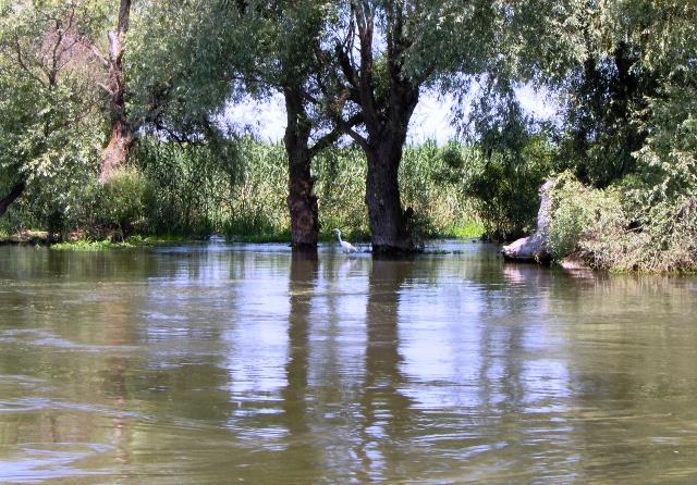 Doar ...  NATURA - im000287.JPG